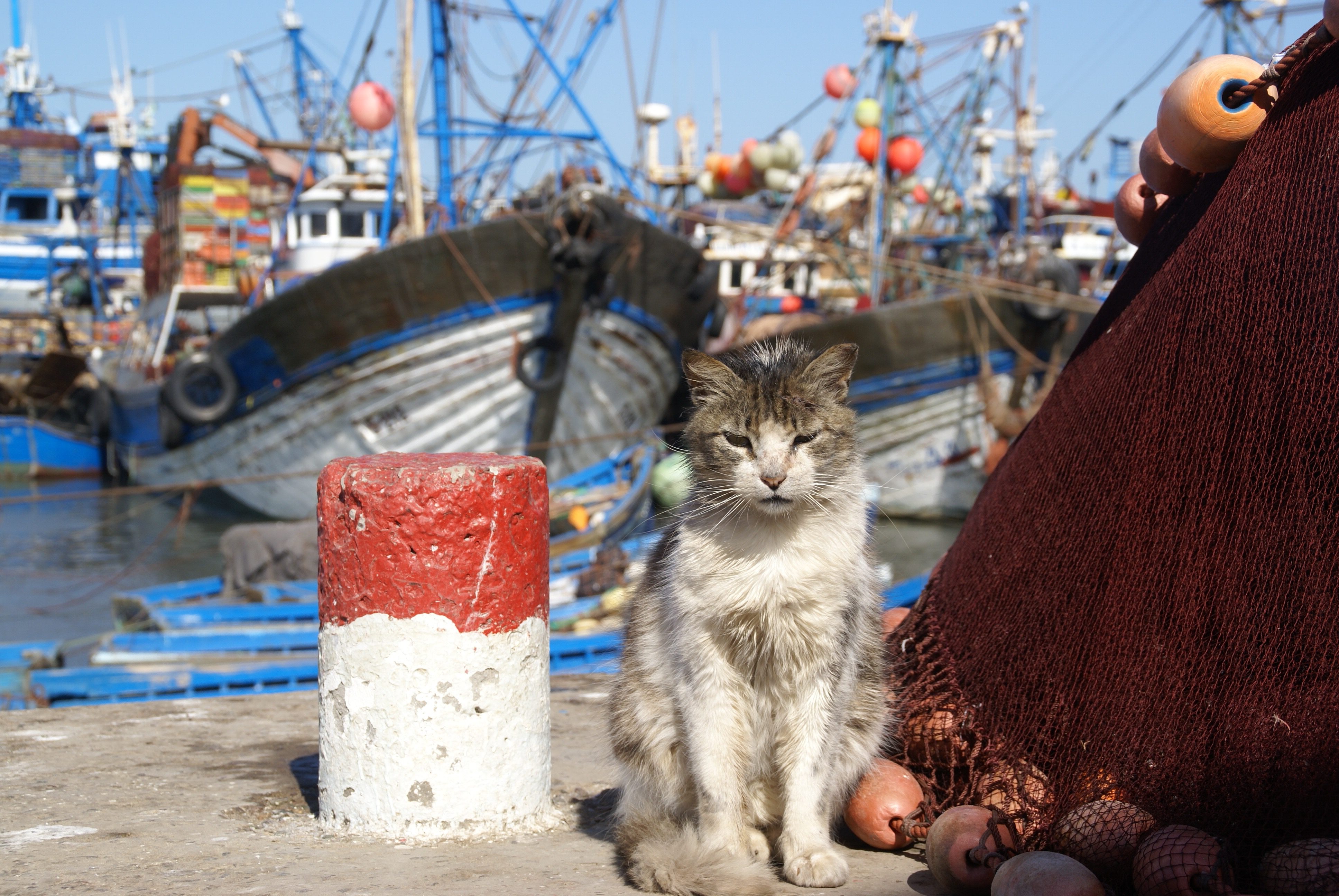 Морская практика в картинках